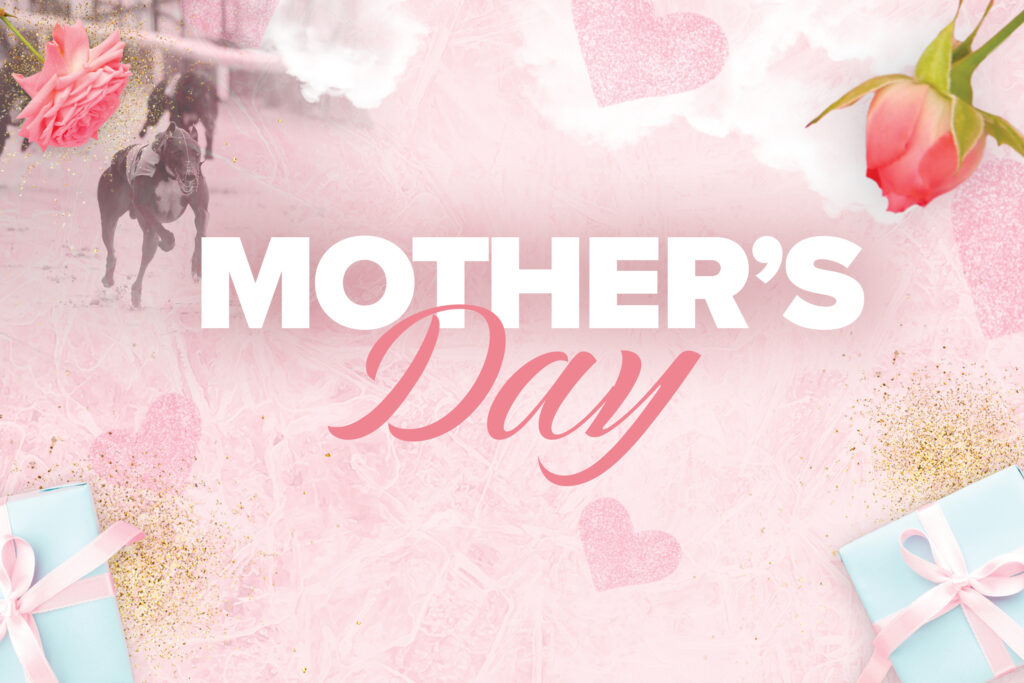 Looking For Mother's Day Ideas in Sheffield? Treat Your Mum at Owlerton Stadium - Owlerton Stadium