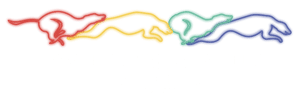 Owlerton Stadium - Owlerton Greyhound Stadium - Sheffield's Premier Greyhound Race Track