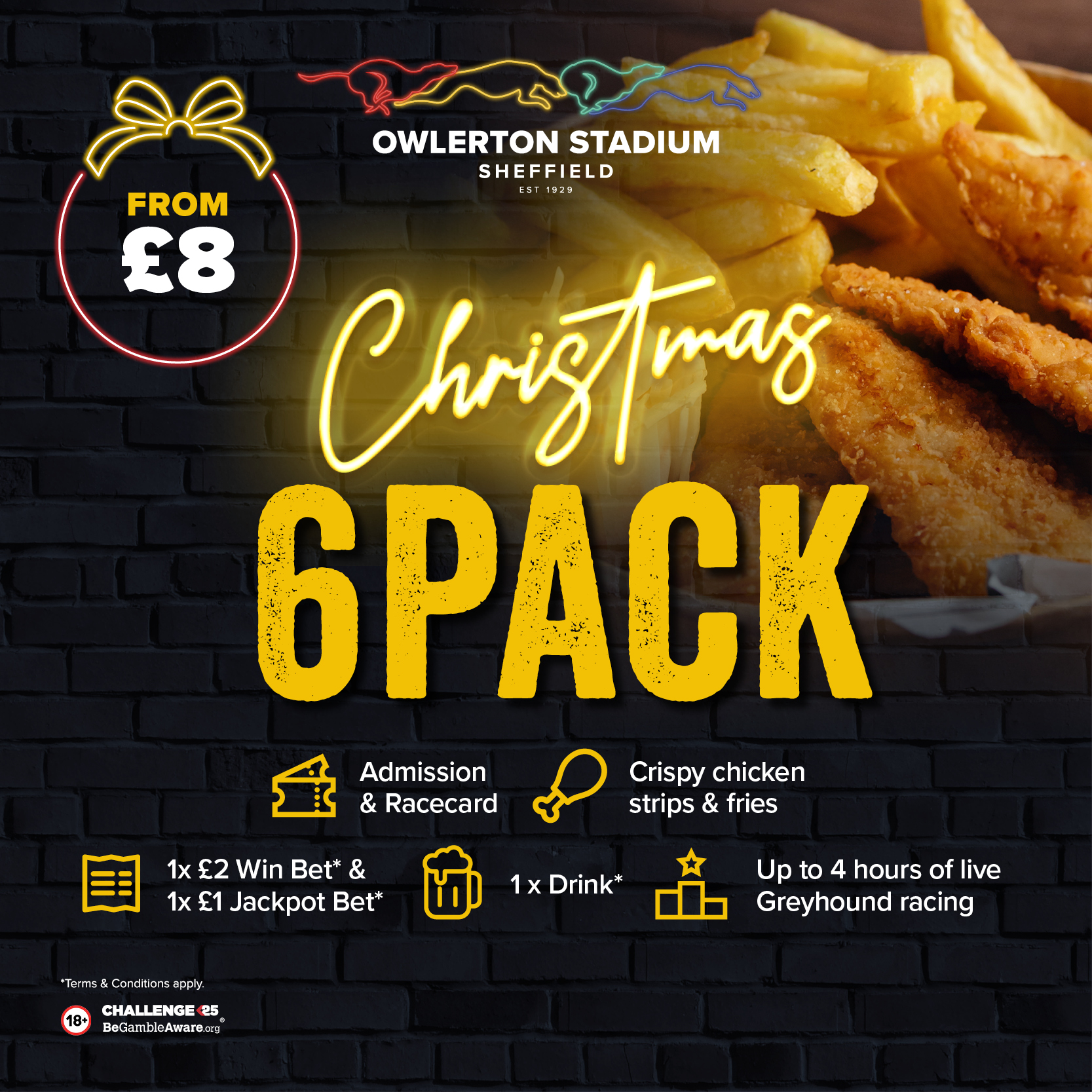 Christmas 6 Pack Festive Trackside - Christmas in Sheffield - Owlerton Stadium