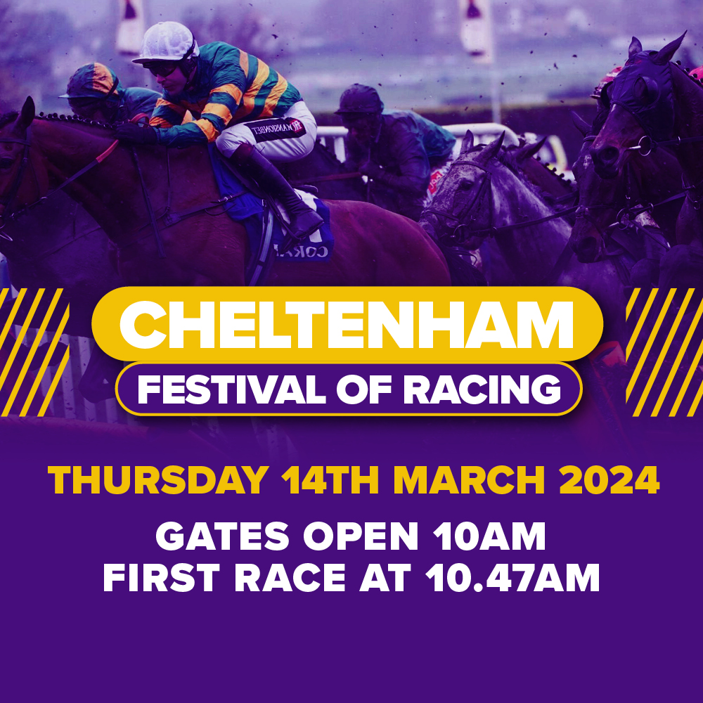 Cheltenham Festival Owlerton Stadium   FMART 4698 Cheltenham 2024 Digital Assets Mob Header 