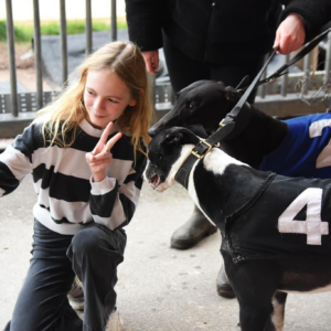 Fun Days Out with the Kids in Sheffield! - Owlerton Stadium