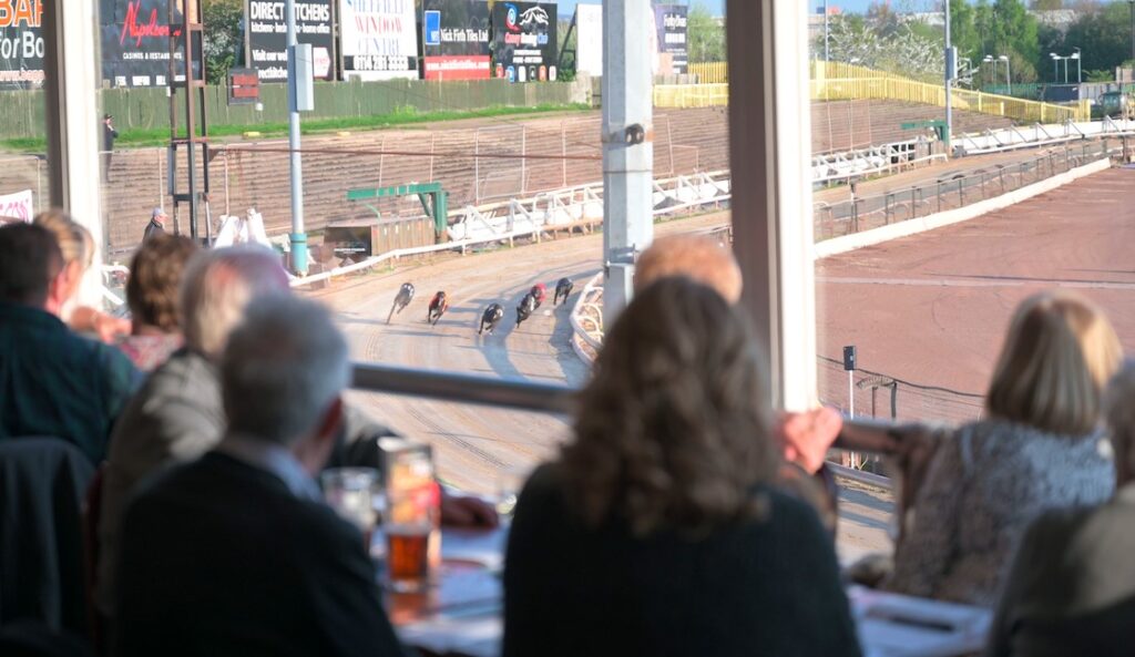 Corporate Hospitality & Team Building Activities at the Races! - Owlerton Stadium