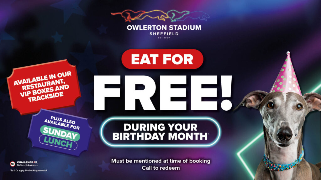 Weekend Wonders: Things to do on a Sunday in Sheffield - Owlerton Stadium
