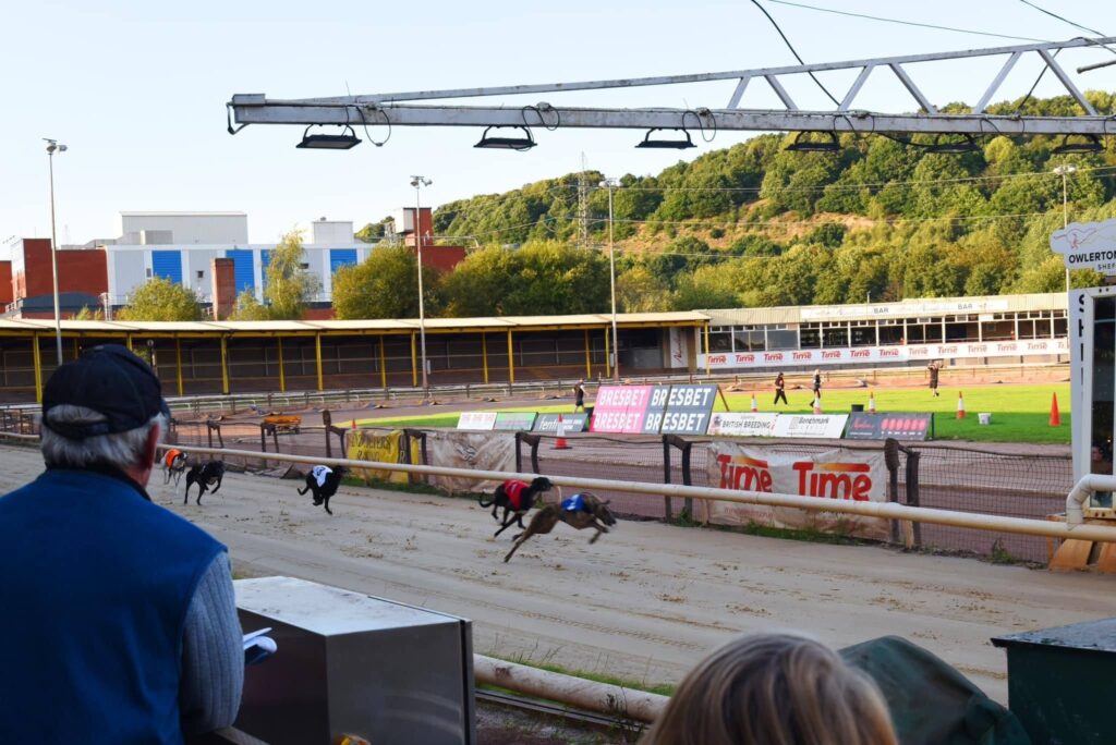 Understanding the Different Bet Types in Greyhound Racing Betting - Owlerton Stadium