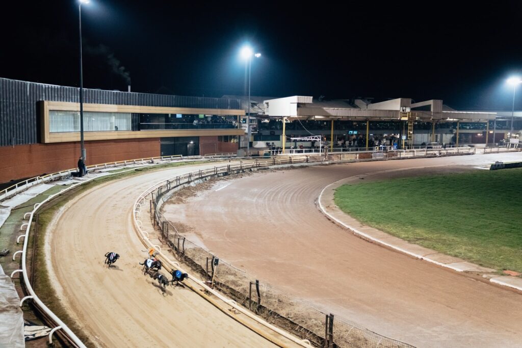 Understanding the Different Bet Types in Greyhound Racing Betting - Owlerton Stadium