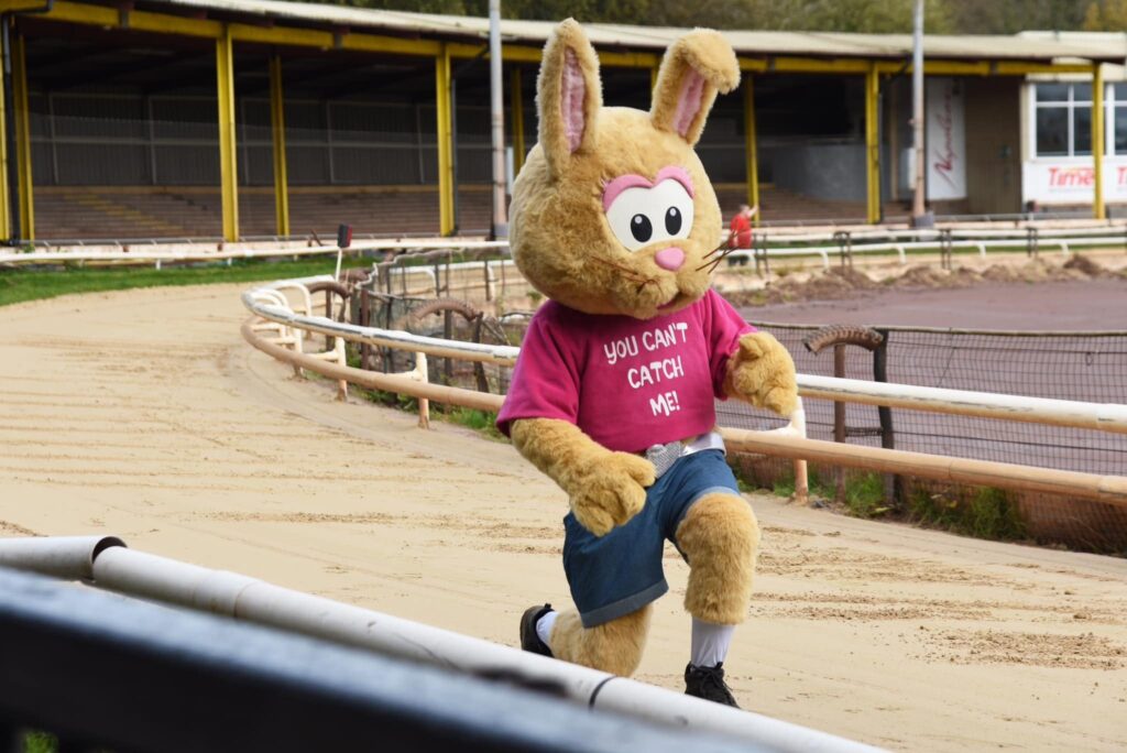 Event Planning Made Easy: Why Owlerton Stadium Is Your Go-To Venue - Owlerton Stadium