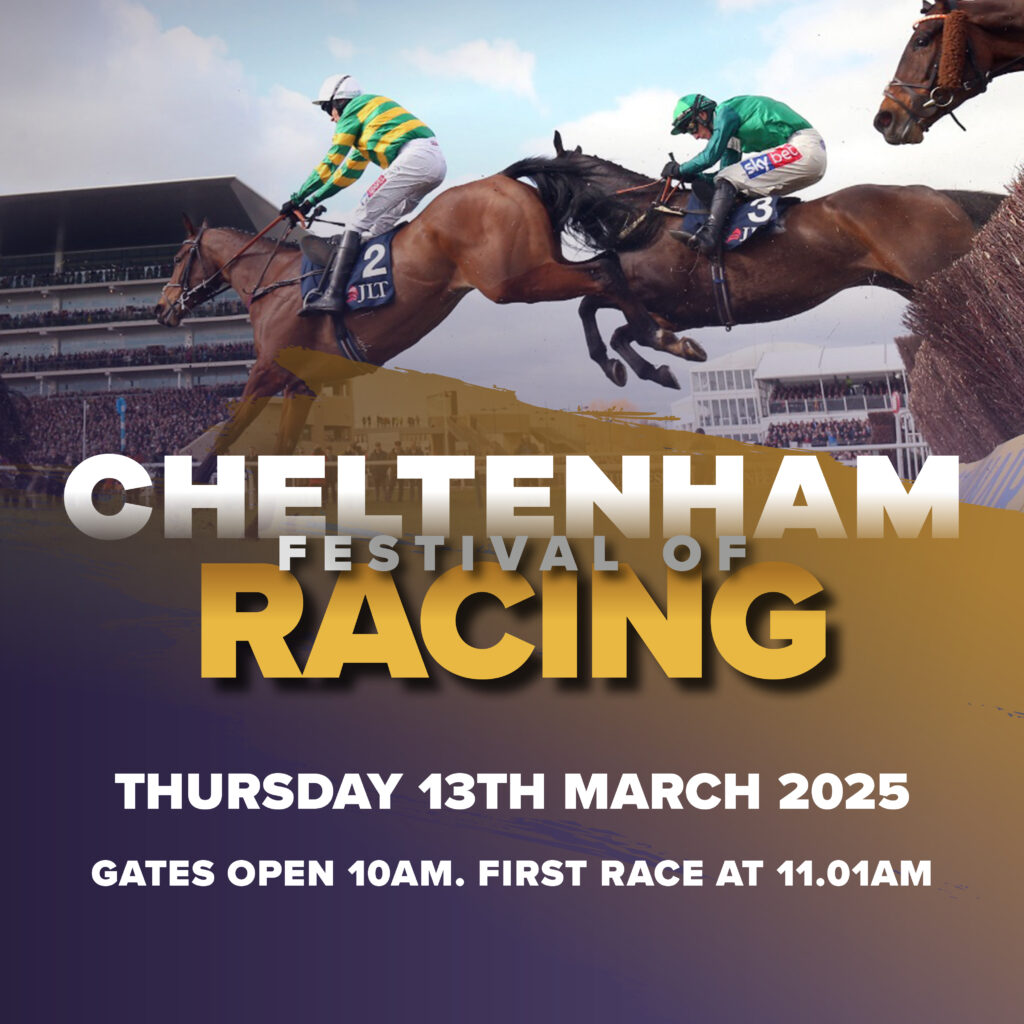 Cheltenham Festival - Owlerton Stadium