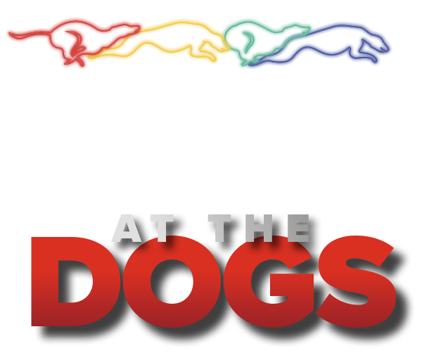 6 Pack - Owlerton Stadium