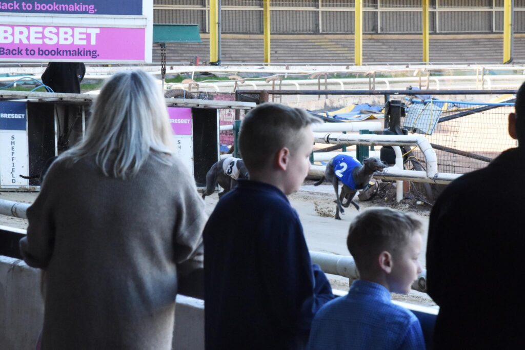 June in Sheffield: Family Days Out and Big Thrills at Owlerton Stadium - Owlerton Stadium