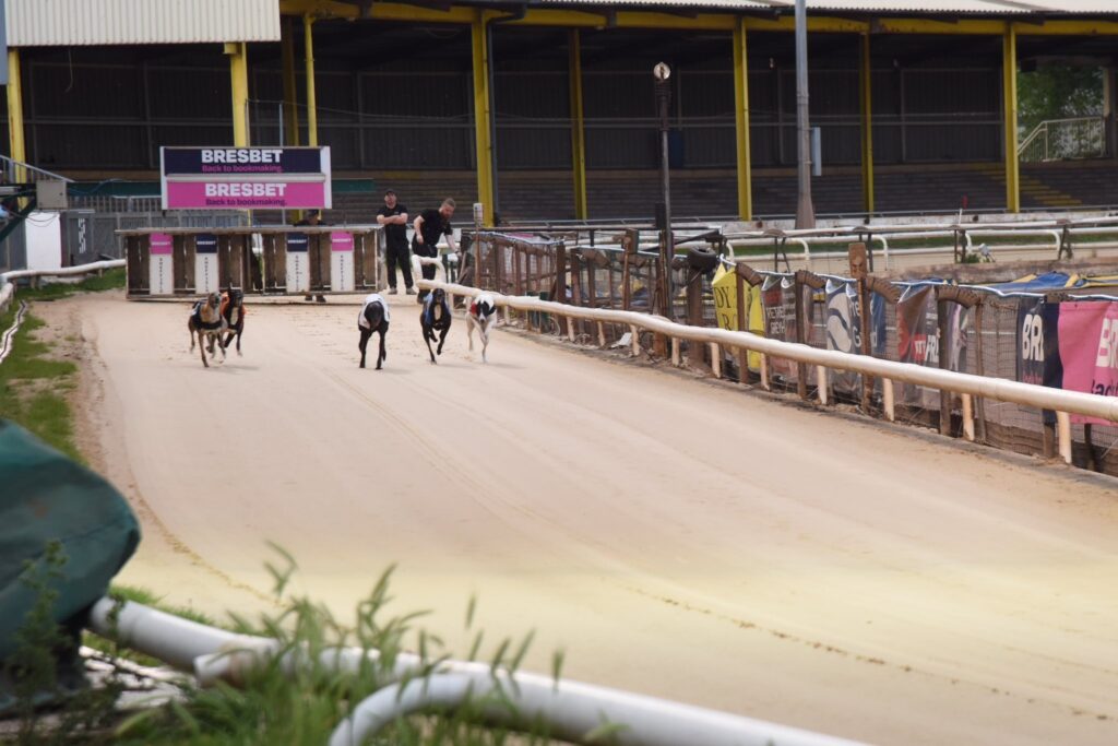 What is corporate hospitality? - Owlerton Stadium