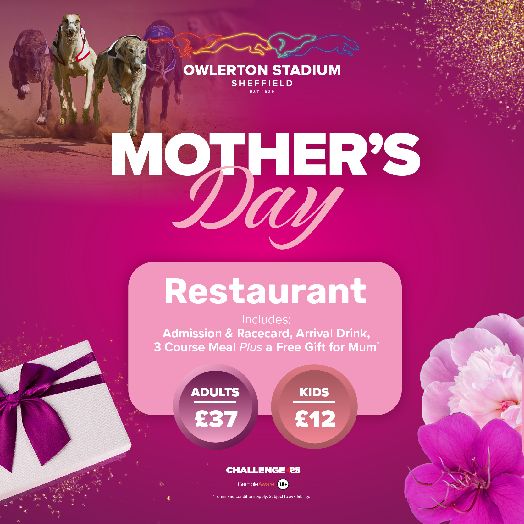 Mothers Day - Owlerton Stadium