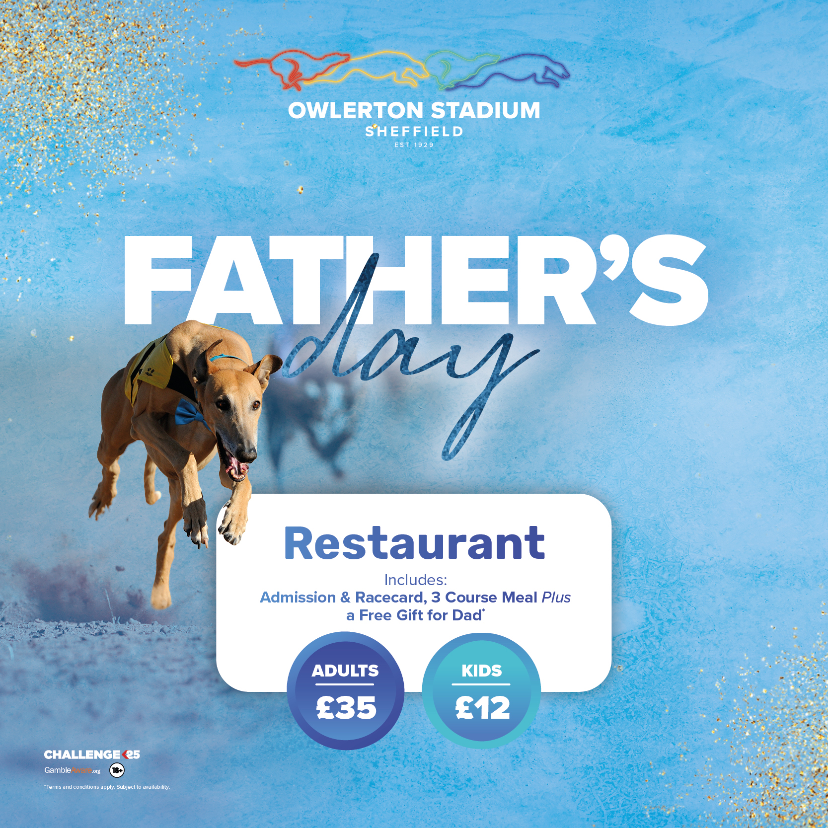 Father's Day - Owlerton Stadium