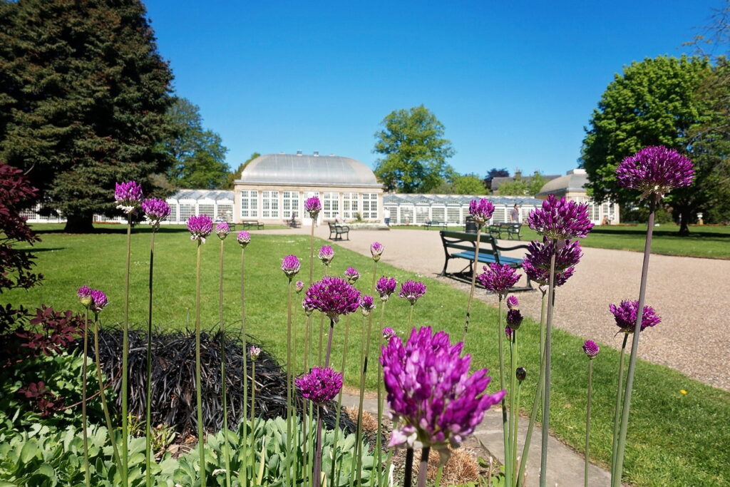 10 Outdoor Activities in Sheffield This Summer (Festivals, Food & More) - Owlerton Stadium