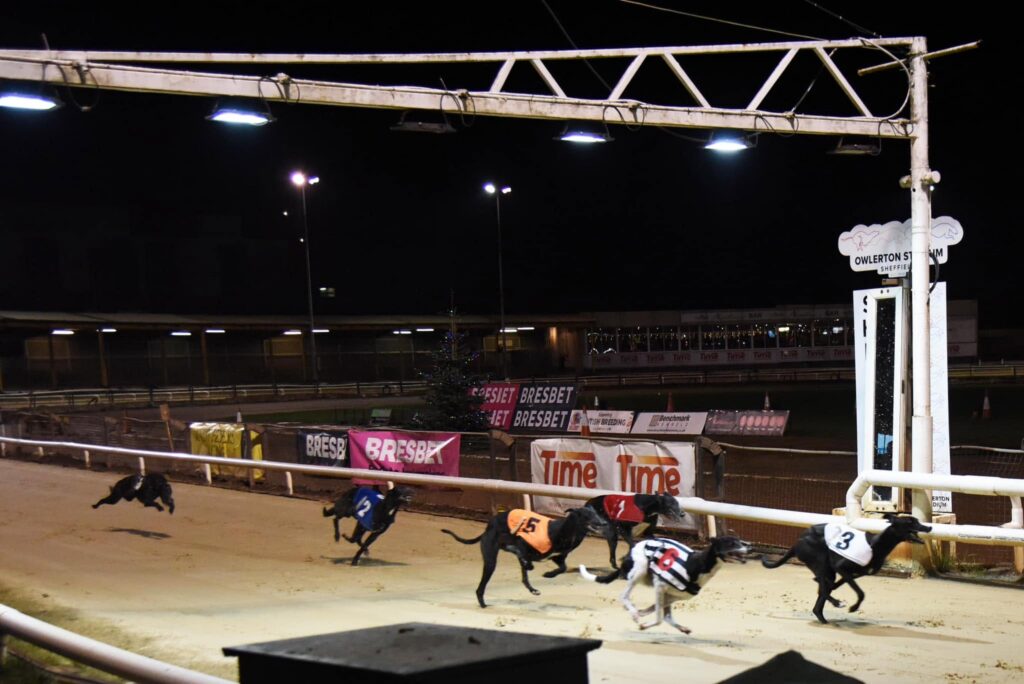 Christmas Party Ideas in Sheffield for Every Celebration in 2026 - Owlerton Stadium