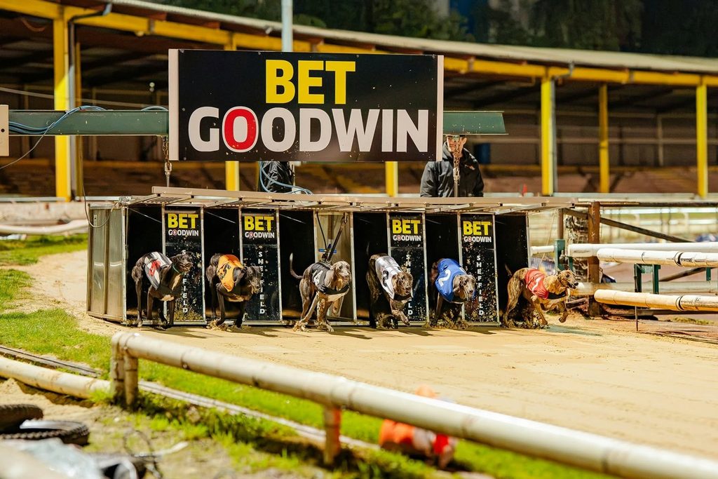 Corporate Entertainment Worth Leaving the Office For - Owlerton Stadium